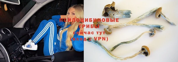мяу мяу мука Лихославль