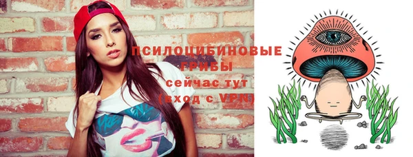 тгк Лиски